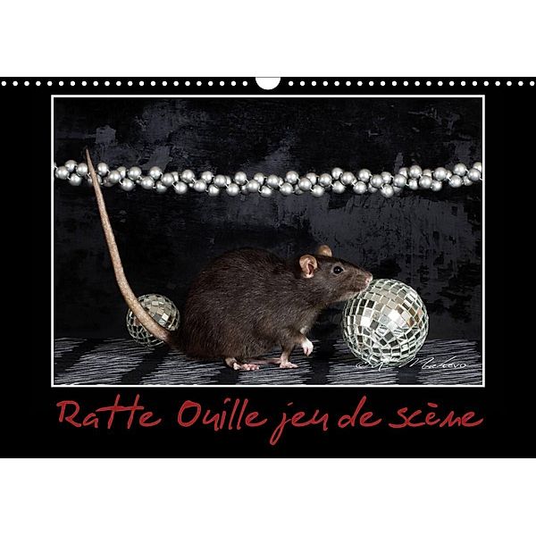 Ratte Ouille jeu de scène (Calendrier mural 2023 DIN A3 horizontal), Kathy mahevo