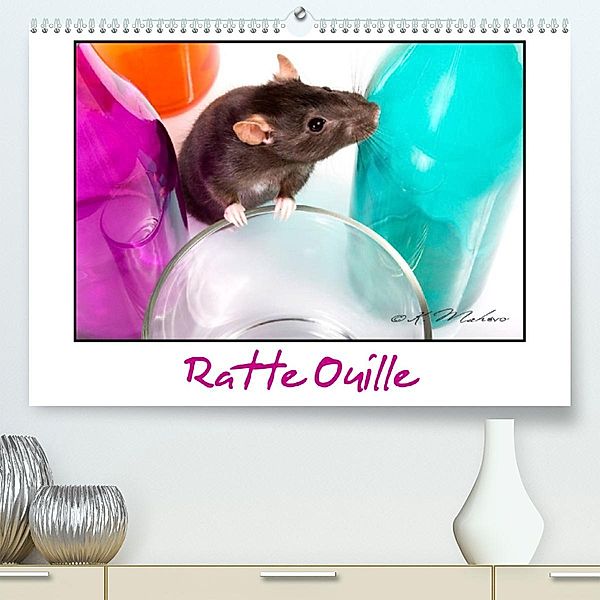 Ratte Ouille (Premium, hochwertiger DIN A2 Wandkalender 2023, Kunstdruck in Hochglanz), Kathy mahevo