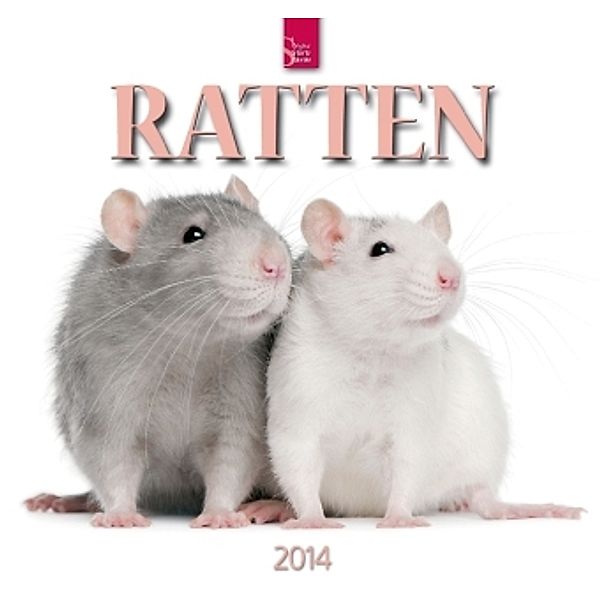 Ratten 2014