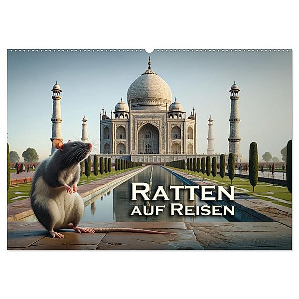Ratten auf Reisen (Wandkalender 2025 DIN A2 quer), CALVENDO Monatskalender, Calvendo, Peter R. Stuhlmann