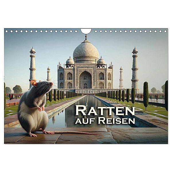 Ratten auf Reisen (Wandkalender 2025 DIN A4 quer), CALVENDO Monatskalender, Calvendo, Peter R. Stuhlmann