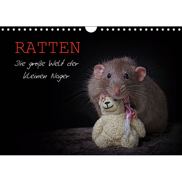 Ratten. Die gro?e Welt der kleinen Nager (Wandkalender 2019 DIN A4 quer), Thorsten Nilson