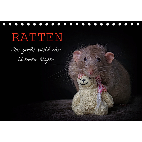 Ratten. Die große Welt der kleinen Nager (Tischkalender 2020 DIN A5 quer), Thorsten Nilson