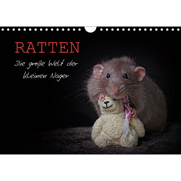 Ratten. Die große Welt der kleinen Nager (Wandkalender 2020 DIN A4 quer), Thorsten Nilson