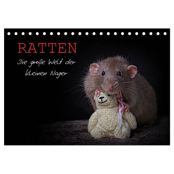 Ratten. Die grosse Welt der kleinen Nager (Tischkalender 2024 DIN A5 quer), CALVENDO Monatskalender, Thorsten Nilson