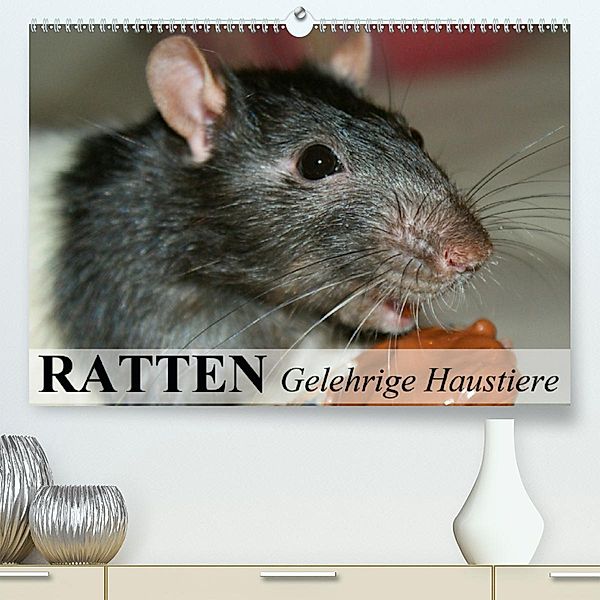 Ratten - Gelehrige Haustiere (Premium-Kalender 2020 DIN A2 quer), Elisabeth Stanzer