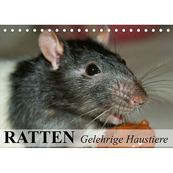 Ratten - Gelehrige Haustiere (Tischkalender 2022 DIN A5 quer), Elisabeth Stanzer