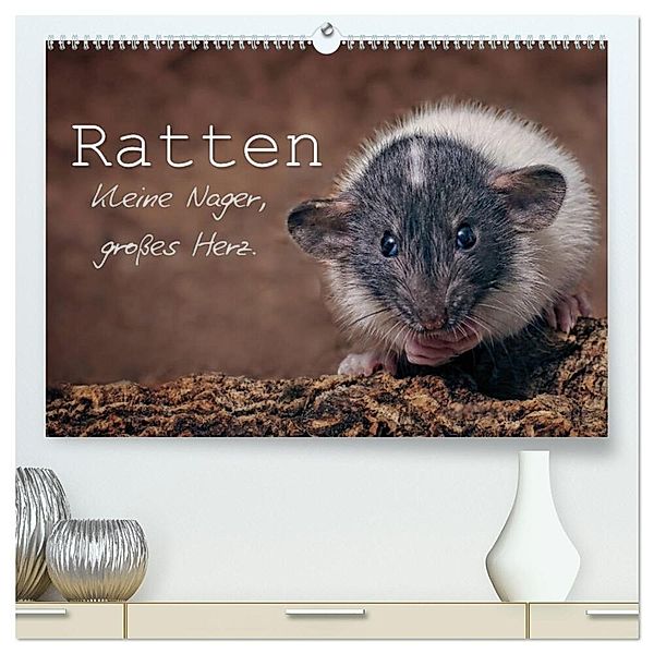 Ratten. Kleine Nager, grosses Herz. (hochwertiger Premium Wandkalender 2024 DIN A2 quer), Kunstdruck in Hochglanz, Thorsten Nilson