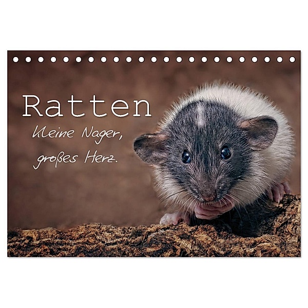 Ratten. Kleine Nager, grosses Herz. (Tischkalender 2025 DIN A5 quer), CALVENDO Monatskalender, Calvendo, Thorsten Nilson