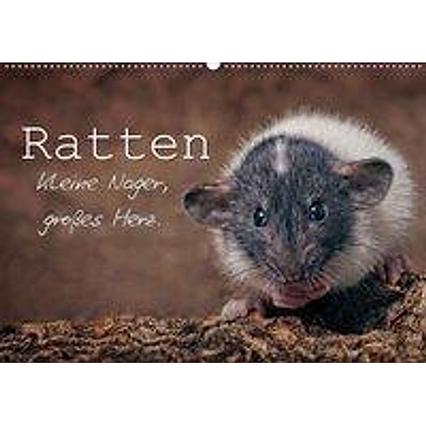 Ratten. Kleine Nager, großes Herz. (Wandkalender 2020 DIN A2 quer), Thorsten Nilson