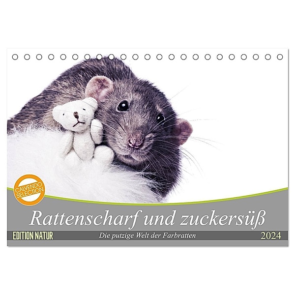 Rattenscharf und zuckersüss (Tischkalender 2024 DIN A5 quer), CALVENDO Monatskalender, Thorsten Nilson
