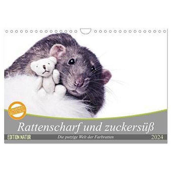 Rattenscharf und zuckersüß (Wandkalender 2024 DIN A4 quer), CALVENDO Monatskalender, Thorsten Nilson