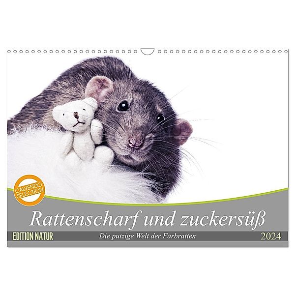 Rattenscharf und zuckersüß (Wandkalender 2024 DIN A3 quer), CALVENDO Monatskalender, Thorsten Nilson