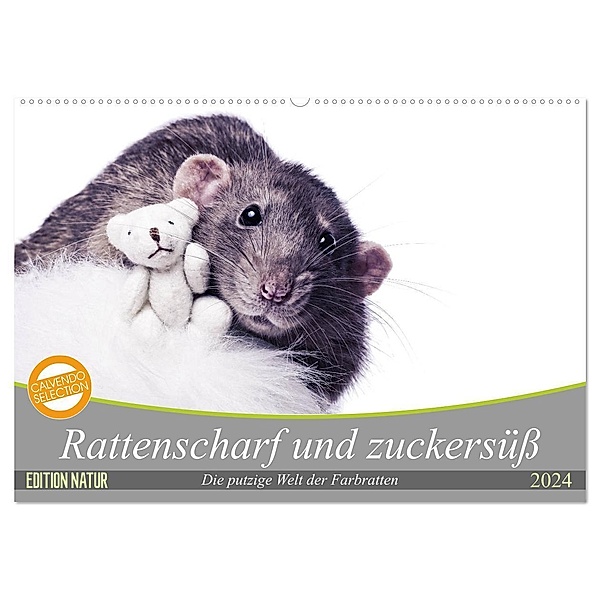 Rattenscharf und zuckersüß (Wandkalender 2024 DIN A2 quer), CALVENDO Monatskalender, Thorsten Nilson