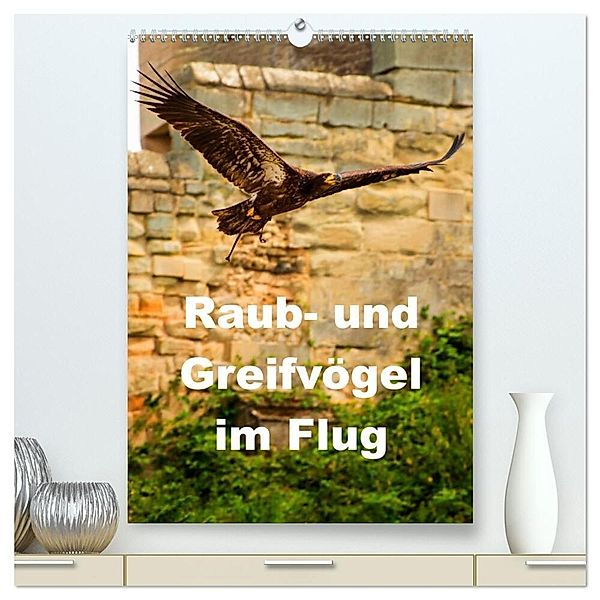 Raub- und Greifvögel im Flug (hochwertiger Premium Wandkalender 2024 DIN A2 hoch), Kunstdruck in Hochglanz, Gabriela Wernicke-Marfo
