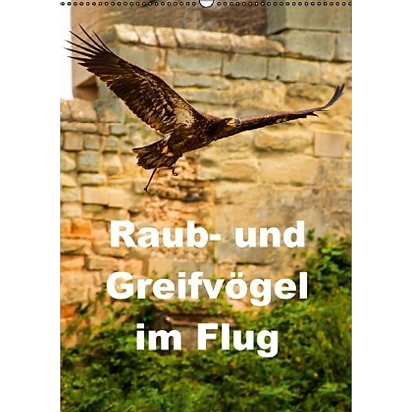 Raub- und Greifvögel im Flug (Wandkalender 2015 DIN A2 hoch), Gabriela Wernicke-Marfo