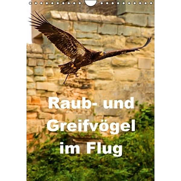Raub- und Greifvögel im Flug (Wandkalender 2015 DIN A4 hoch), Gabriela Wernicke-Marfo