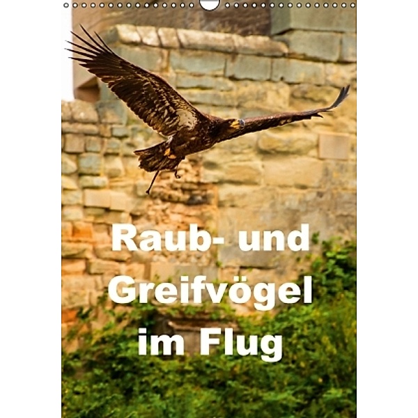 Raub- und Greifvögel im Flug (Wandkalender 2016 DIN A3 hoch), Gabriela Wernicke-Marfo