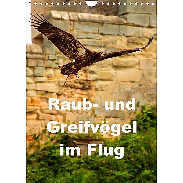 Raub- und Greifvögel im Flug (Wandkalender 2023 DIN A4 hoch), Gabriela Wernicke-Marfo