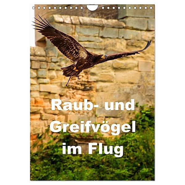 Raub- und Greifvögel im Flug (Wandkalender 2024 DIN A4 hoch), CALVENDO Monatskalender, Gabriela Wernicke-Marfo