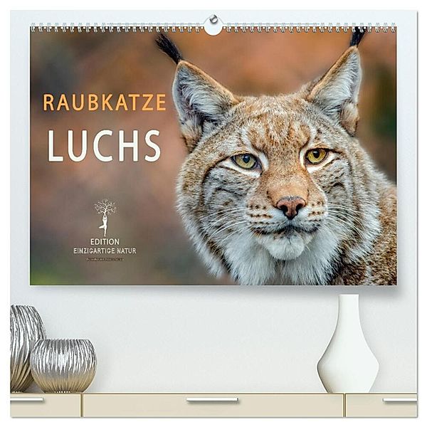 Raubkatze Luchs (hochwertiger Premium Wandkalender 2025 DIN A2 quer), Kunstdruck in Hochglanz, Calvendo, Peter Roder