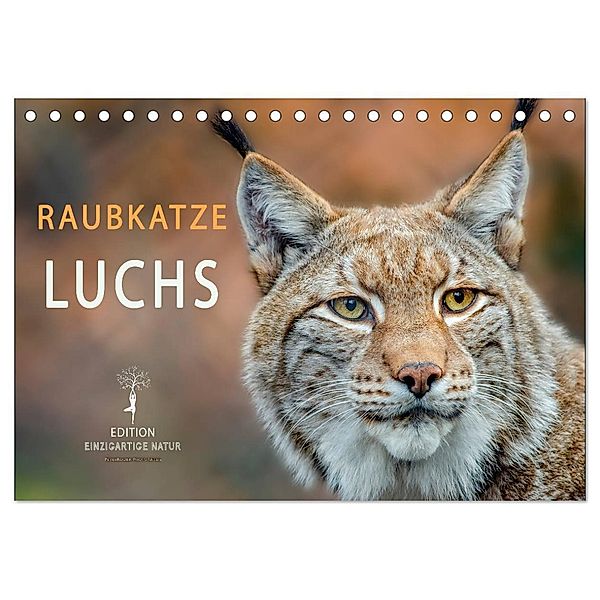 Raubkatze Luchs (Tischkalender 2024 DIN A5 quer), CALVENDO Monatskalender, Peter Roder