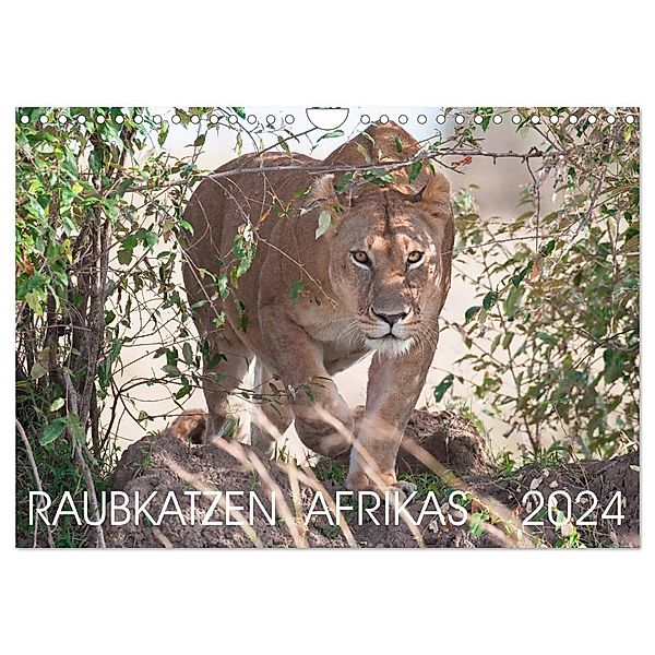 Raubkatzen Afrikas (Wandkalender 2024 DIN A4 quer), CALVENDO Monatskalender, Andreas Lippmann