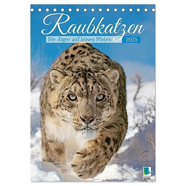 Raubkatzen: Die Jäger auf leisen Pfoten (Tischkalender 2025 DIN A5 hoch), CALVENDO Monatskalender, Calvendo