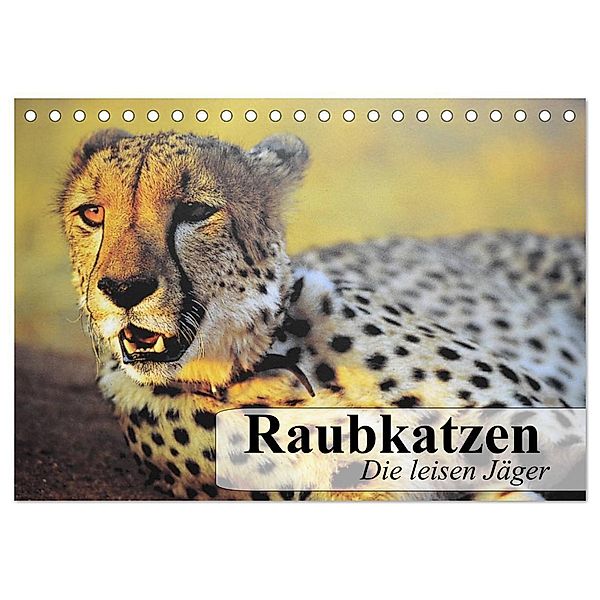 Raubkatzen. Die leisen Jäger (Tischkalender 2024 DIN A5 quer), CALVENDO Monatskalender, Elisabeth Stanzer