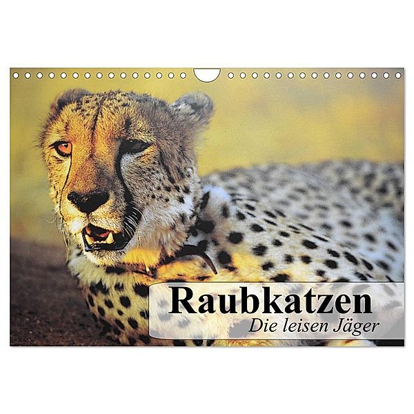 Raubkatzen. Die leisen Jäger (Wandkalender 2024 DIN A4 quer), CALVENDO Monatskalender, Elisabeth Stanzer