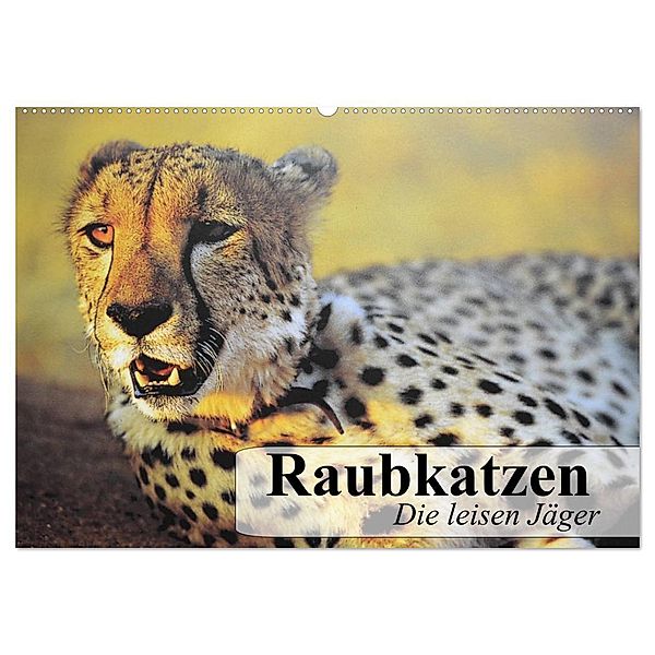 Raubkatzen. Die leisen Jäger (Wandkalender 2024 DIN A2 quer), CALVENDO Monatskalender, Elisabeth Stanzer