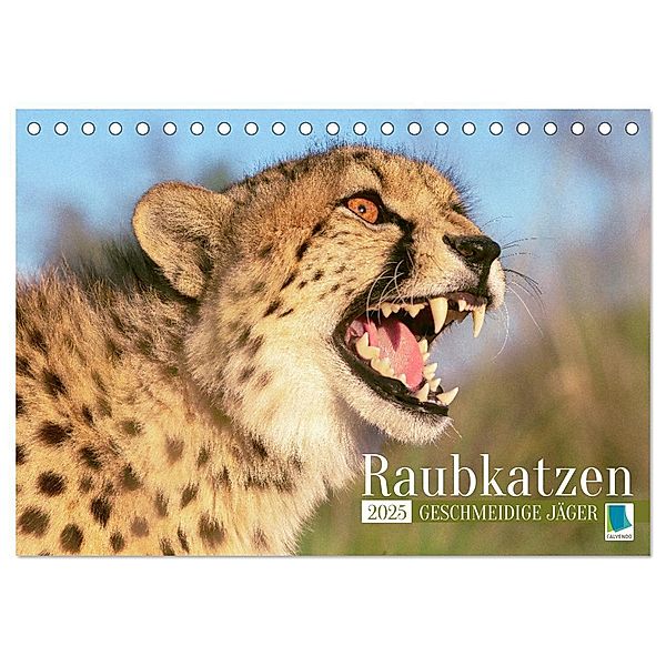 Raubkatzen: Geschmeidige Jäger (Tischkalender 2025 DIN A5 quer), CALVENDO Monatskalender, Calvendo
