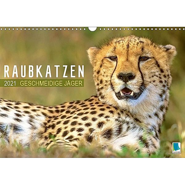 Raubkatzen: Geschmeidige Jäger (Wandkalender 2021 DIN A3 quer), Calvendo