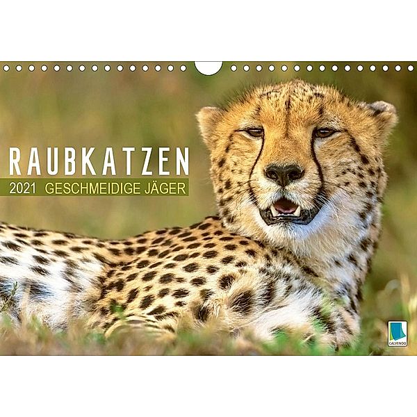 Raubkatzen: Geschmeidige Jäger (Wandkalender 2021 DIN A4 quer), Calvendo