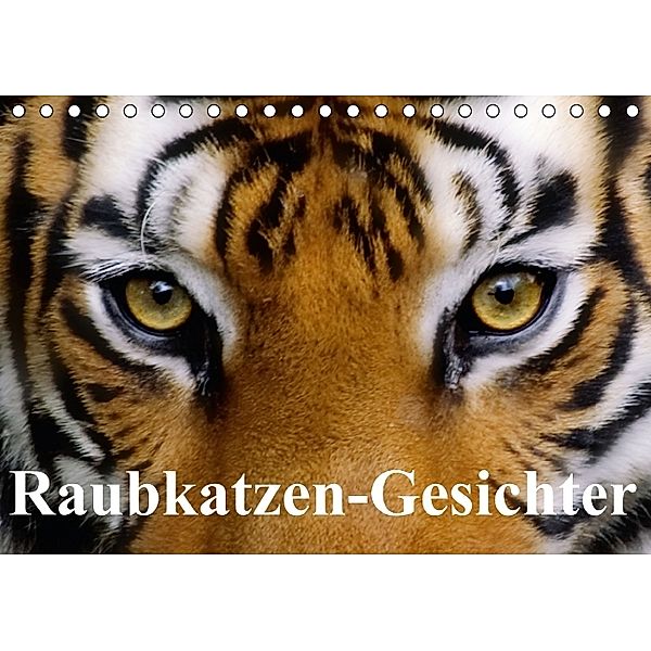 Raubkatzen-Gesichter (Tischkalender immerwährend DIN A5 quer), Elisabeth Stanzer