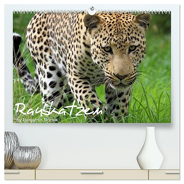 Raubkatzen (hochwertiger Premium Wandkalender 2024 DIN A2 quer), Kunstdruck in Hochglanz, Benjamin Nocke