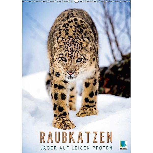 Raubkatzen: Jäger auf leisen Pfoten (Wandkalender 2017 DIN A2 hoch), CALVENDO