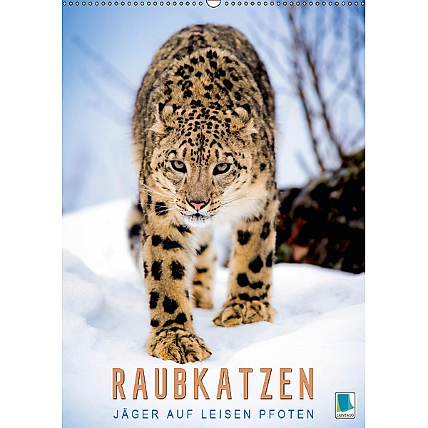 Raubkatzen: Jäger auf leisen Pfoten (Wandkalender 2019 DIN A2 hoch), Calvendo