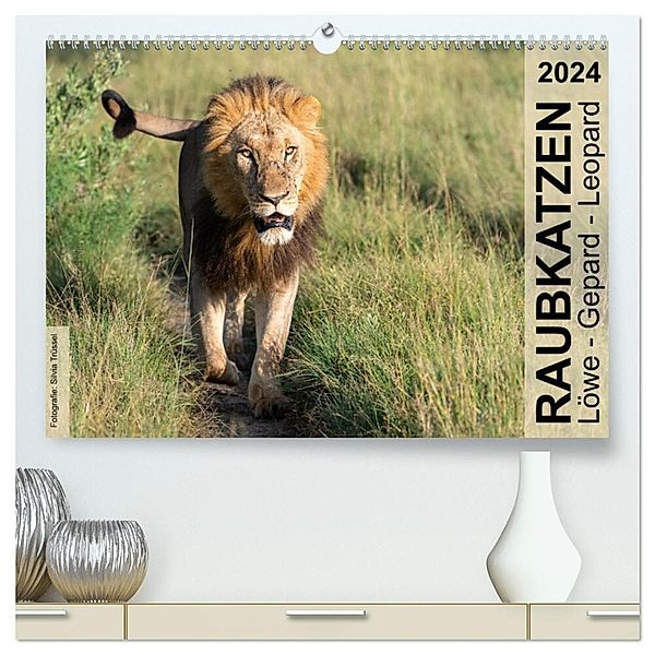 Raubkatzen - Löwe, Gepard, Leopard (hochwertiger Premium Wandkalender 2024 DIN A2 quer), Kunstdruck in Hochglanz, Silvia Trüssel