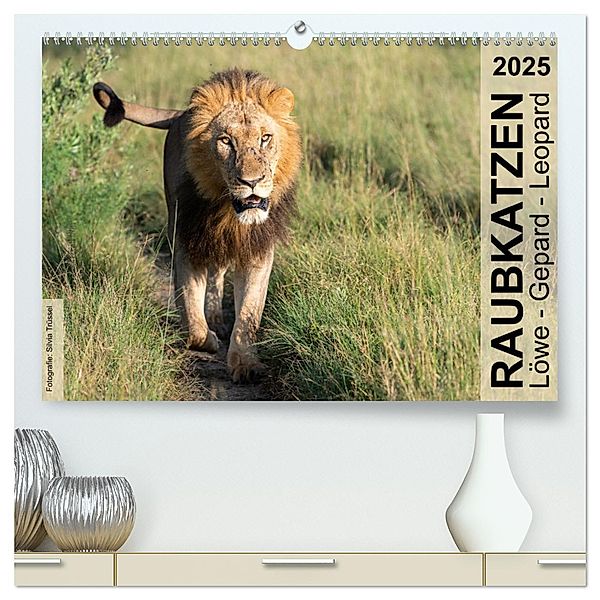 Raubkatzen - Löwe, Gepard, Leopard (hochwertiger Premium Wandkalender 2025 DIN A2 quer), Kunstdruck in Hochglanz, Calvendo, Silvia Trüssel