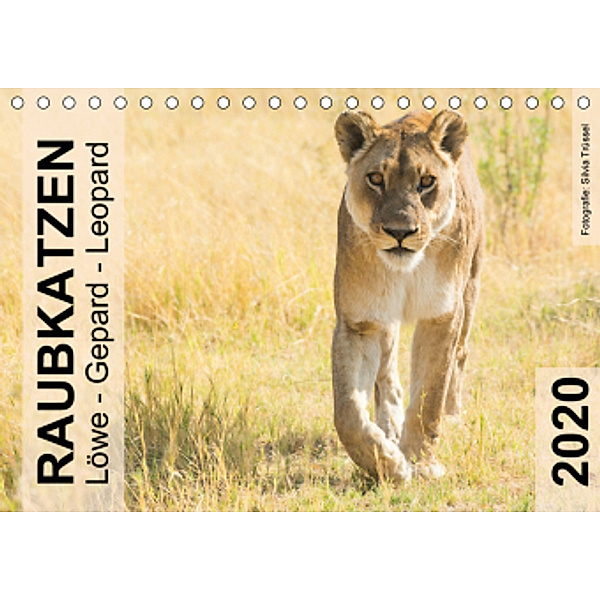 Raubkatzen - Löwe, Gepard, Leopard (Tischkalender 2020 DIN A5 quer), Silvia Trüssel