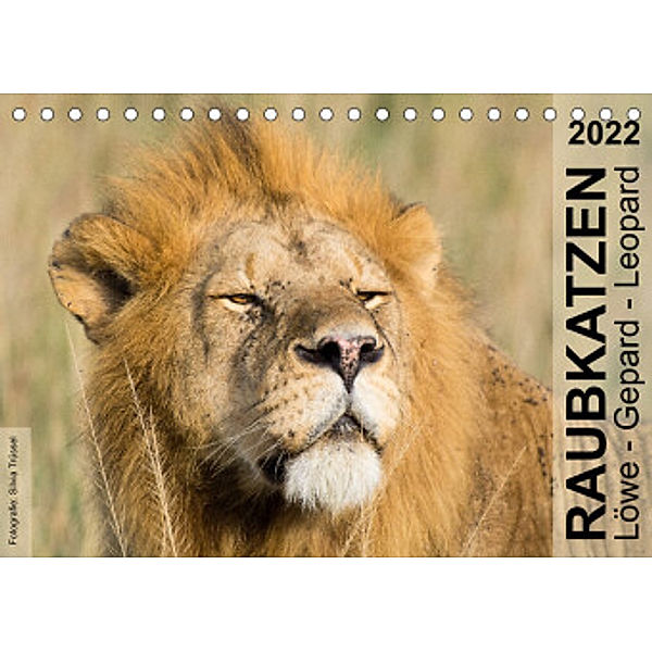 Raubkatzen - Löwe, Gepard, Leopard (Tischkalender 2022 DIN A5 quer), Silvia Trüssel