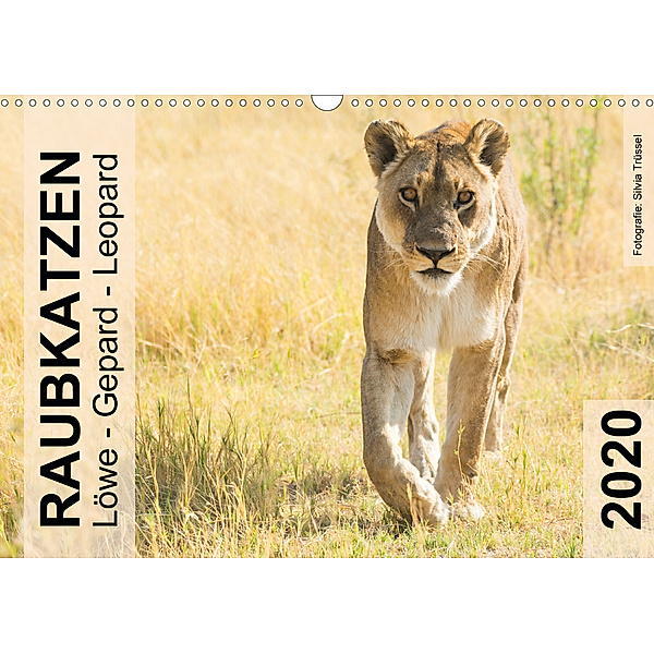 Raubkatzen - Löwe, Gepard, Leopard (Wandkalender 2020 DIN A3 quer), Silvia Trüssel
