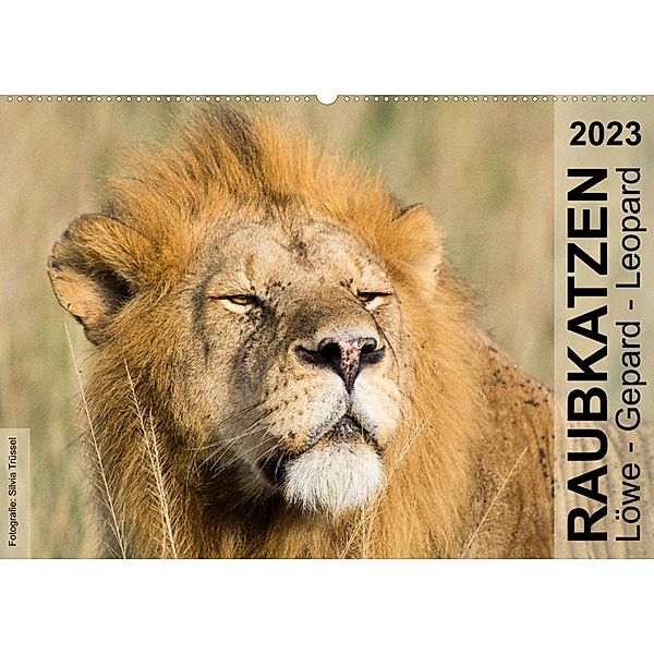 Raubkatzen - Löwe, Gepard, Leopard (Wandkalender 2023 DIN A2 quer), Silvia Trüssel