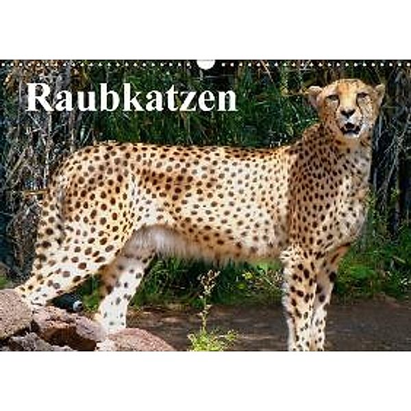 Raubkatzen (Wandkalender 2015 DIN A3 quer), Elisabeth Stanzer