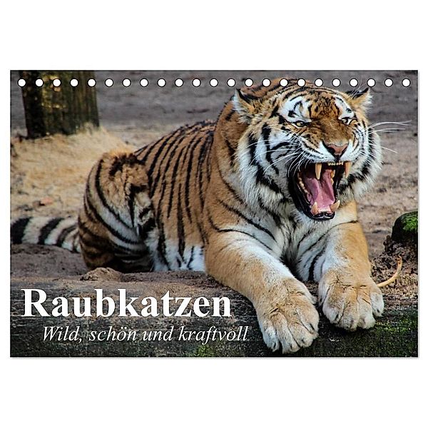 Raubkatzen. Wild, schön und kraftvoll (Tischkalender 2024 DIN A5 quer), CALVENDO Monatskalender, Elisabeth Stanzer