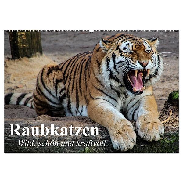 Raubkatzen. Wild, schön und kraftvoll (Wandkalender 2024 DIN A2 quer), CALVENDO Monatskalender, Elisabeth Stanzer