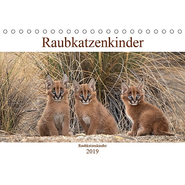 Raubkatzenkinder (Tischkalender 2019 DIN A5 quer), Marion Vollborn