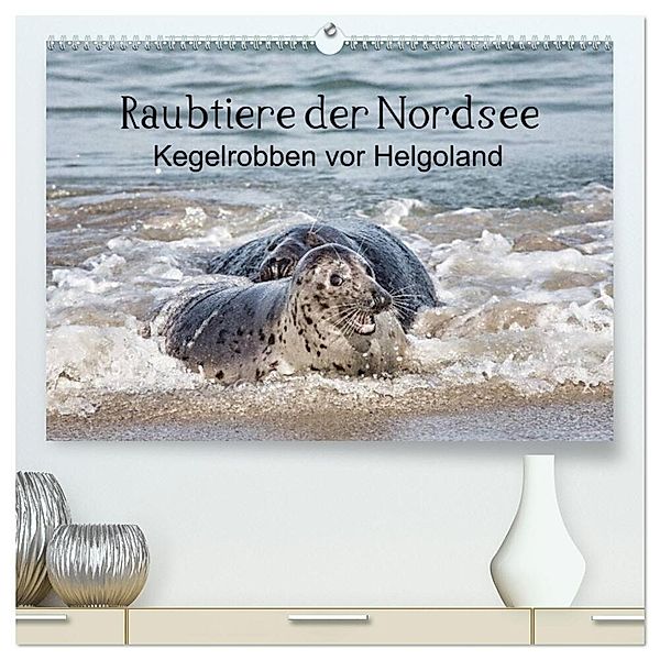 Raubtier der Nordsee - Kegelrobben vor Helgoland (hochwertiger Premium Wandkalender 2024 DIN A2 quer), Kunstdruck in Hochglanz, Udo Quentin