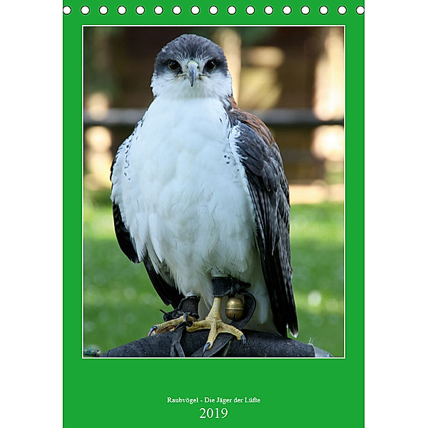 Raubvögel - Die Jäger der Lüfte (Tischkalender 2019 DIN A5 hoch), Arno Klatt